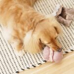 Hund Macarons Kleiner Hund