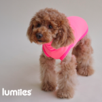 Glow Jumper Sugar Shock Lumiies