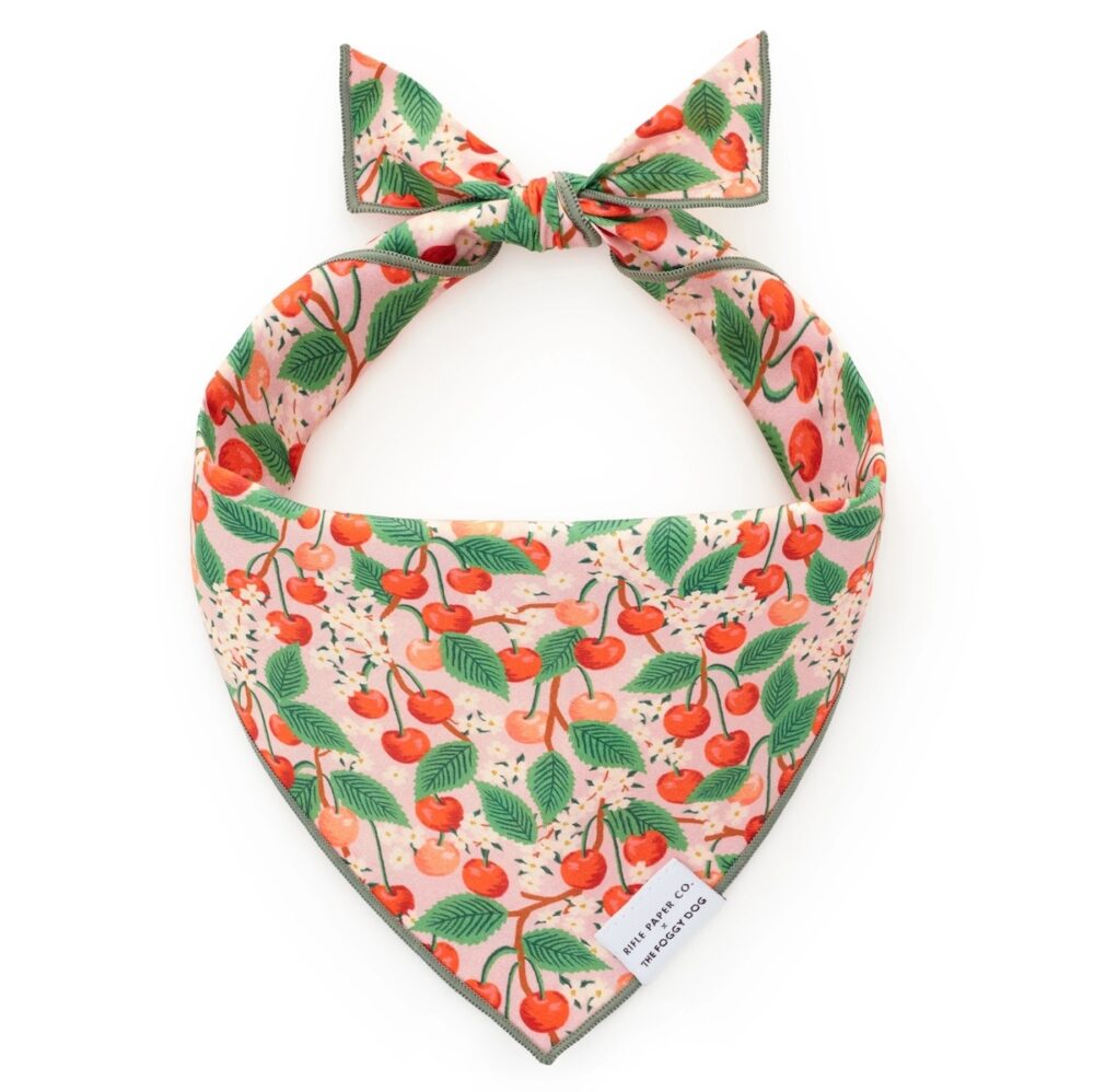 Cherry Blossom Bandana