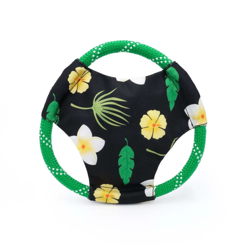 Hawaii Frisbee