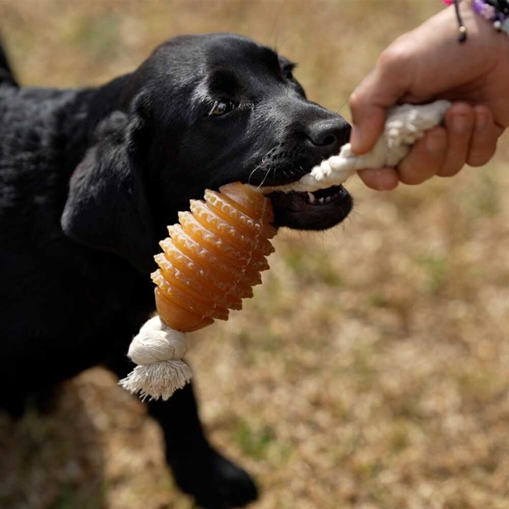 Hundespielzeug Rugby Spike und Seil