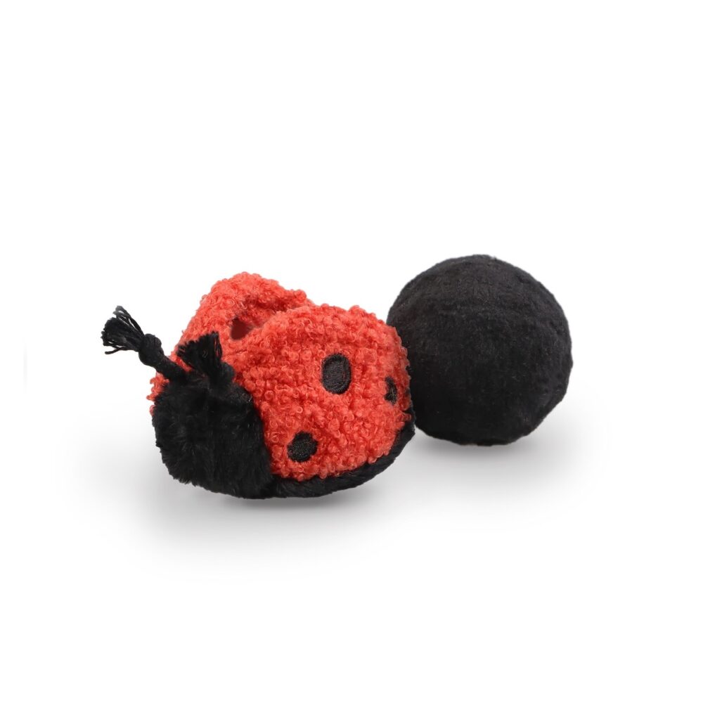 LADYBUG POP Lambwolf
