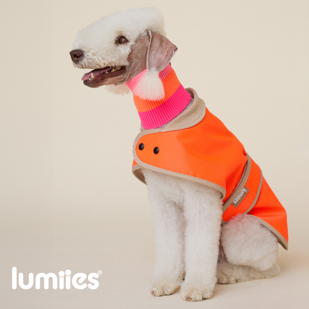 Neon Tangerine Regenmantel Lumiies
