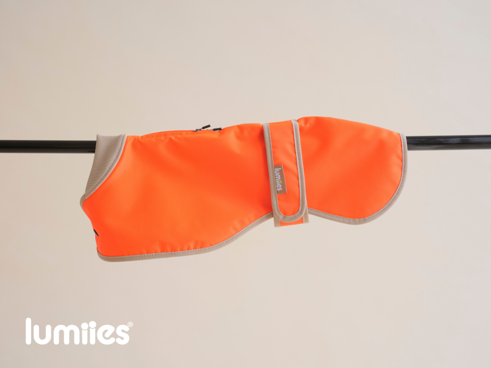 Neon Tangerine Tiger Regular Fit
