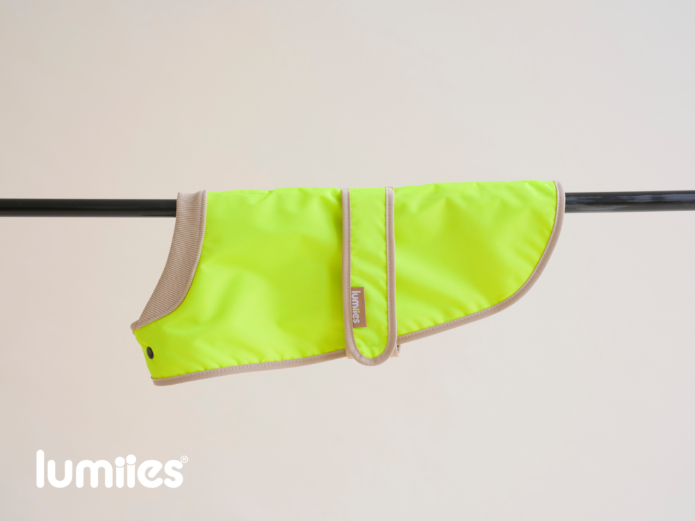 Neon Yellow Firefly Dackel Pudel Fit