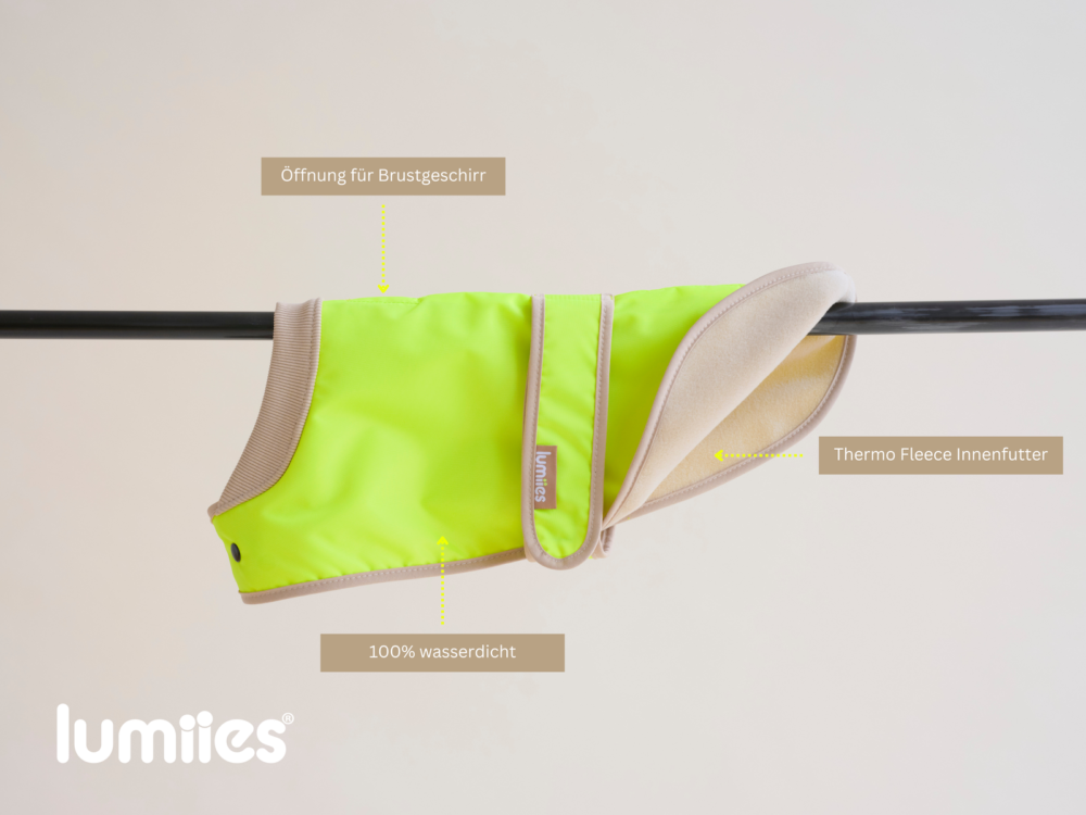 Neon Yellow Firefly Eigenschaften Dackel Pudel Fit