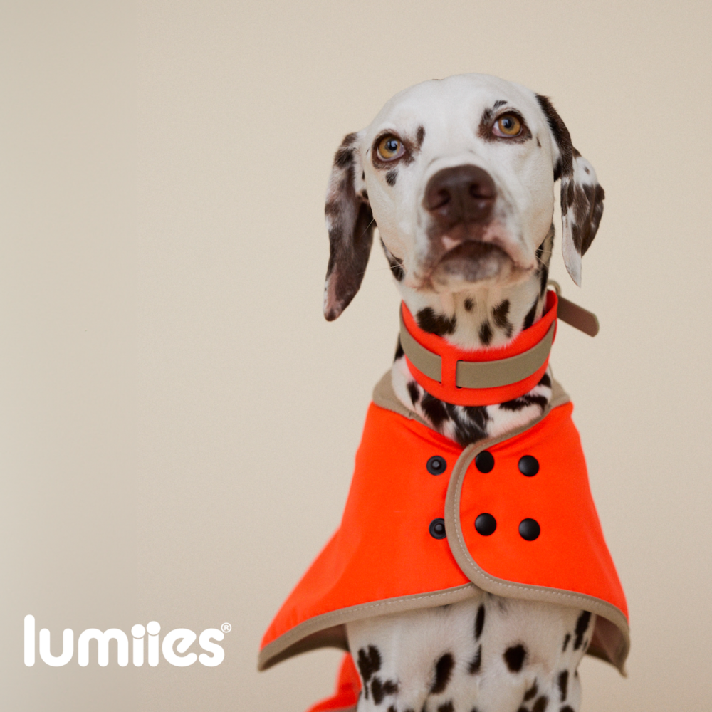 Regenmantel Lumiies Orange Regular Fit