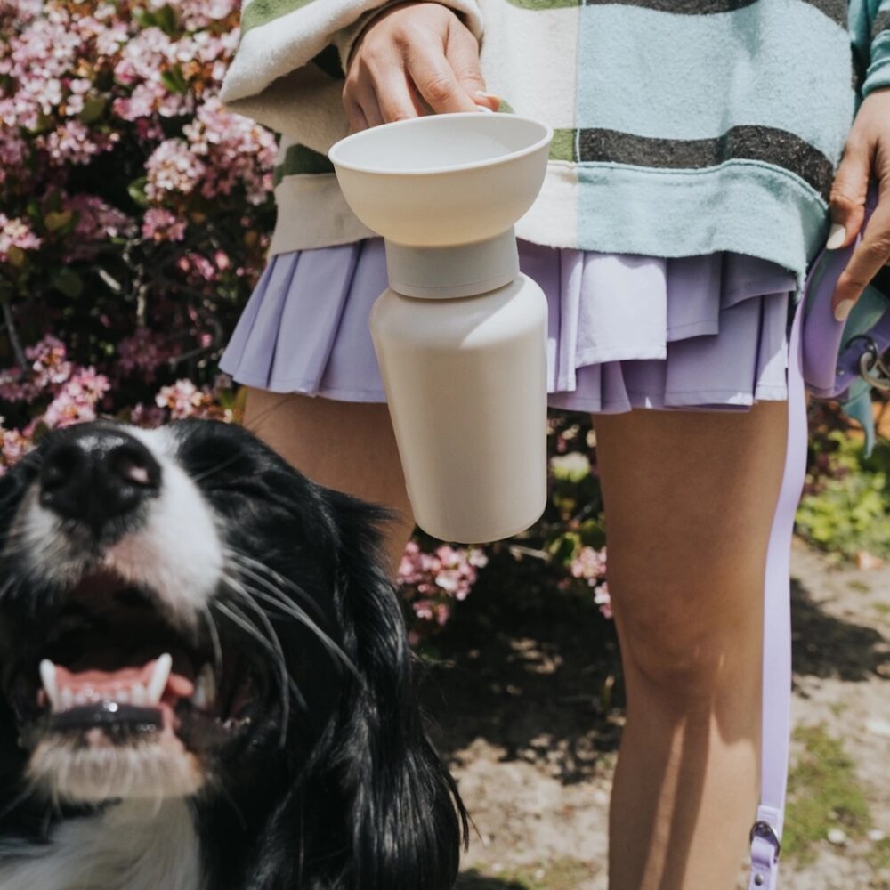 Reisetrinkfalsche Hund Beige