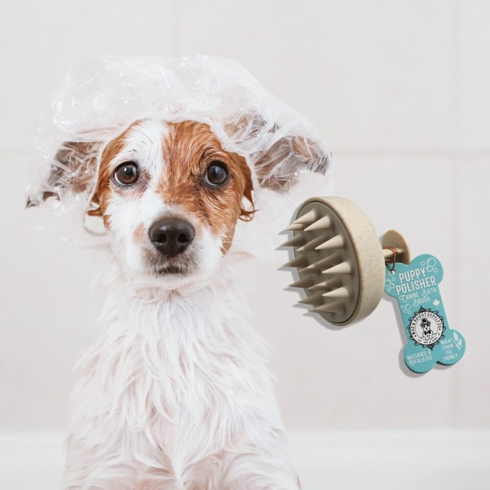 Hund mit Hundeduschbürste