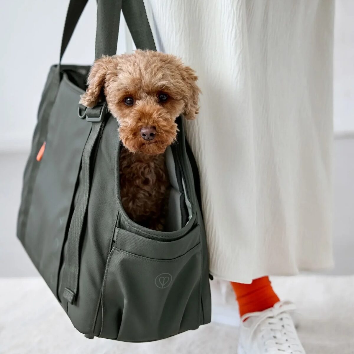 Hundetragetasche Weda Olive mit Hund