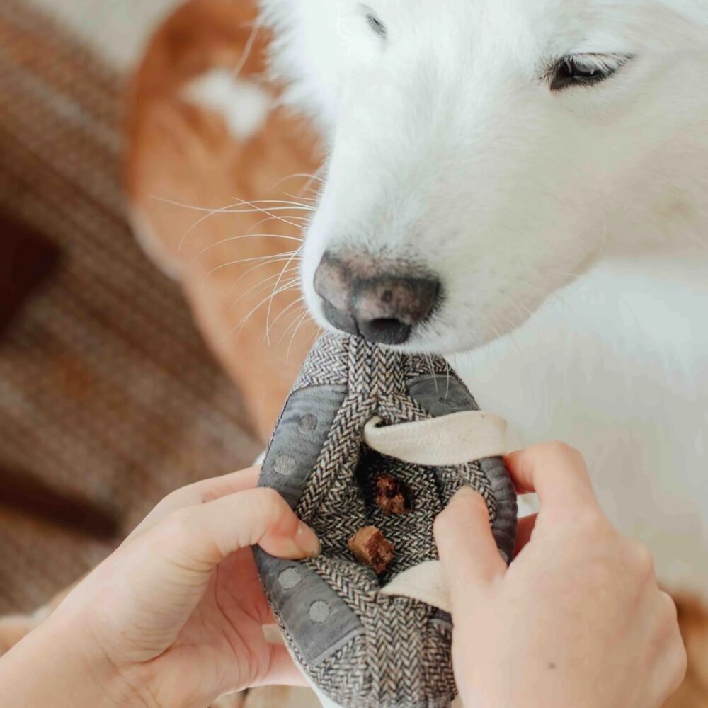 Kassette Lambwolf