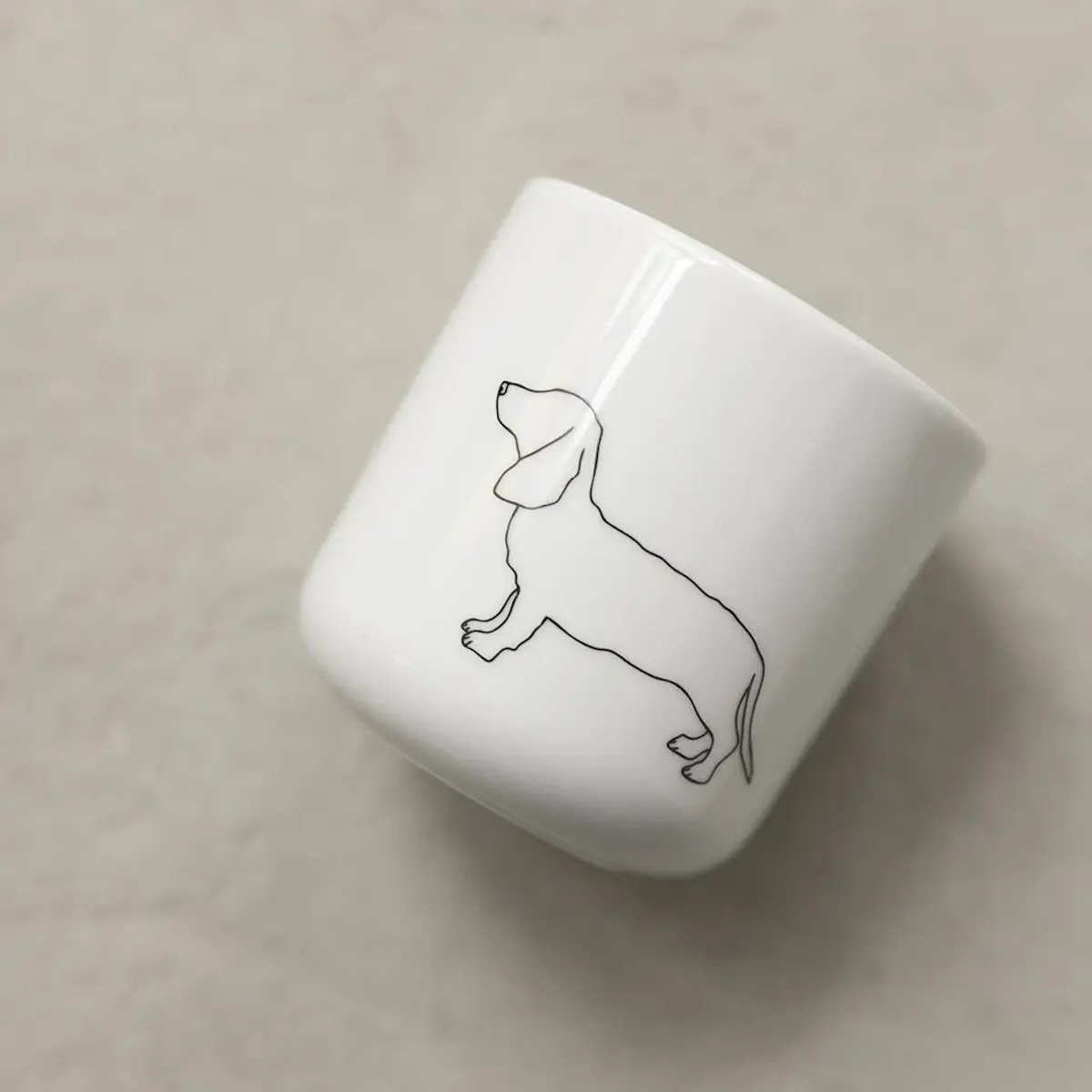 Cup Kurzhaardackel