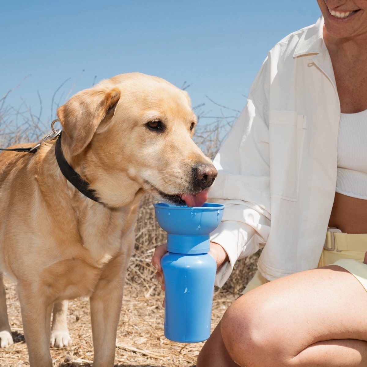 Springer Pets Reiseflasche Dunkelblau