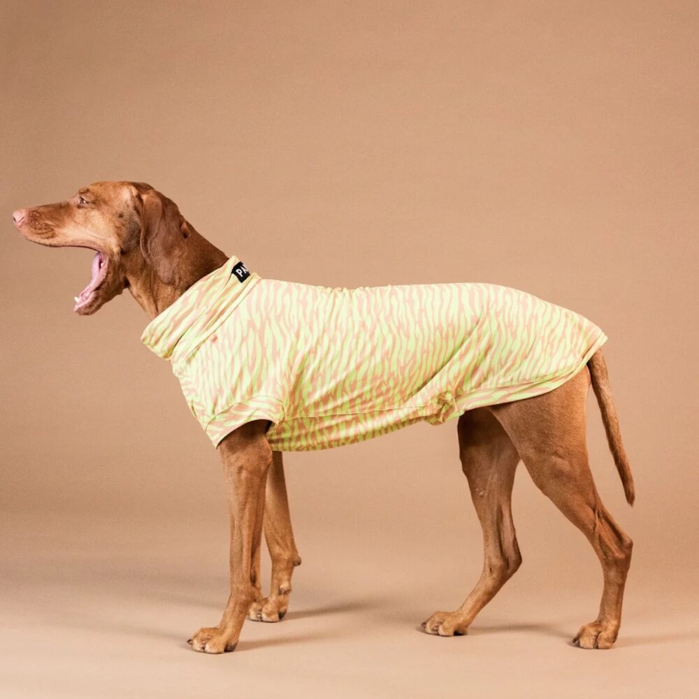 UV & Bug Shirt Matcha PAIKKA