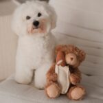 Baguette Teddy_Lambwolf_8