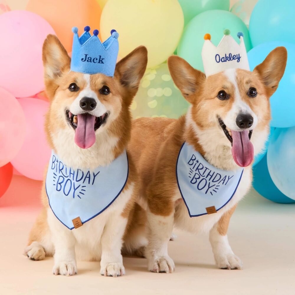 Birthday Boy Bandana_TFD_1