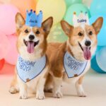 Birthday Boy Bandana_TFD_1
