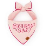 Birthday Girl Bandana_TFD_1