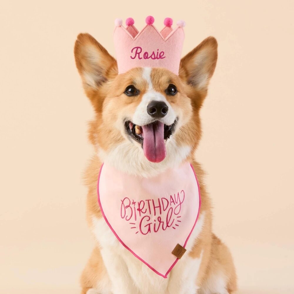 Birthday Girl Bandana_TFD_3