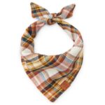Cornucopia Flanell Bandana_TFD_1
