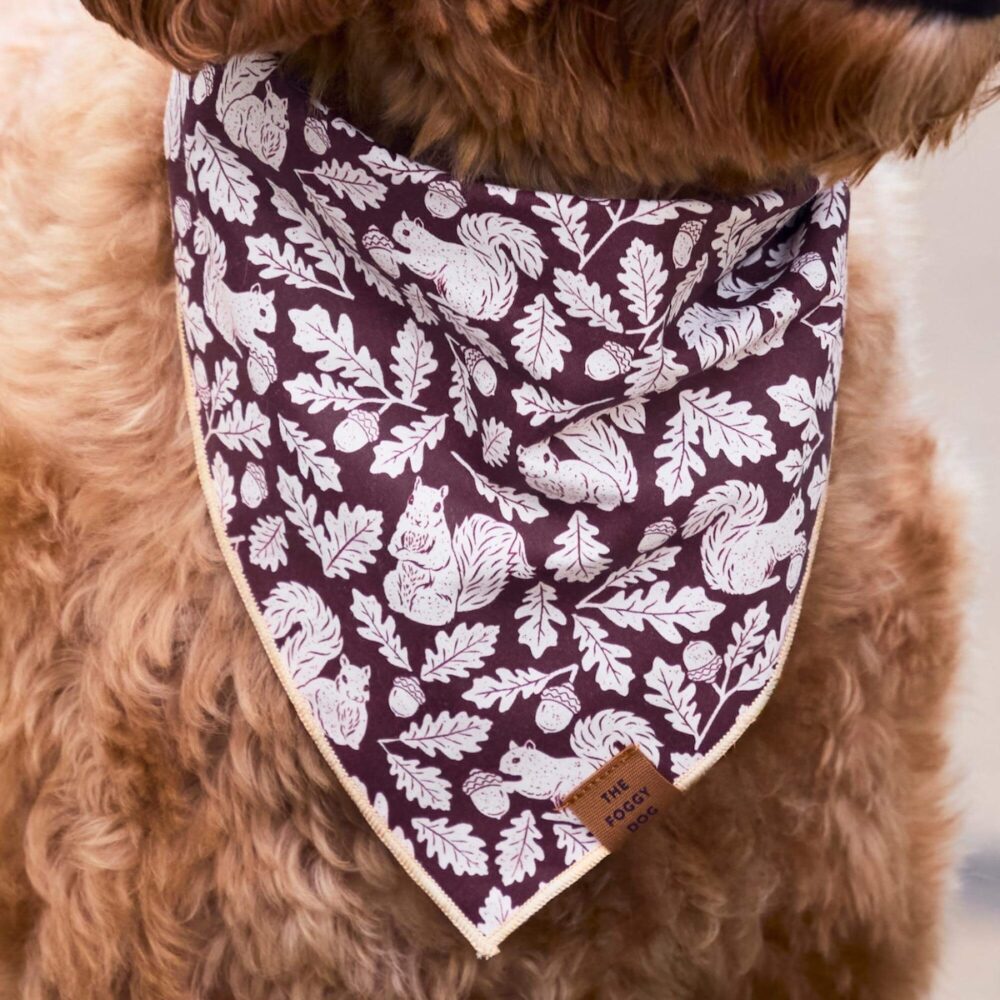 Eichhörnchen Bandana_TFD_3
