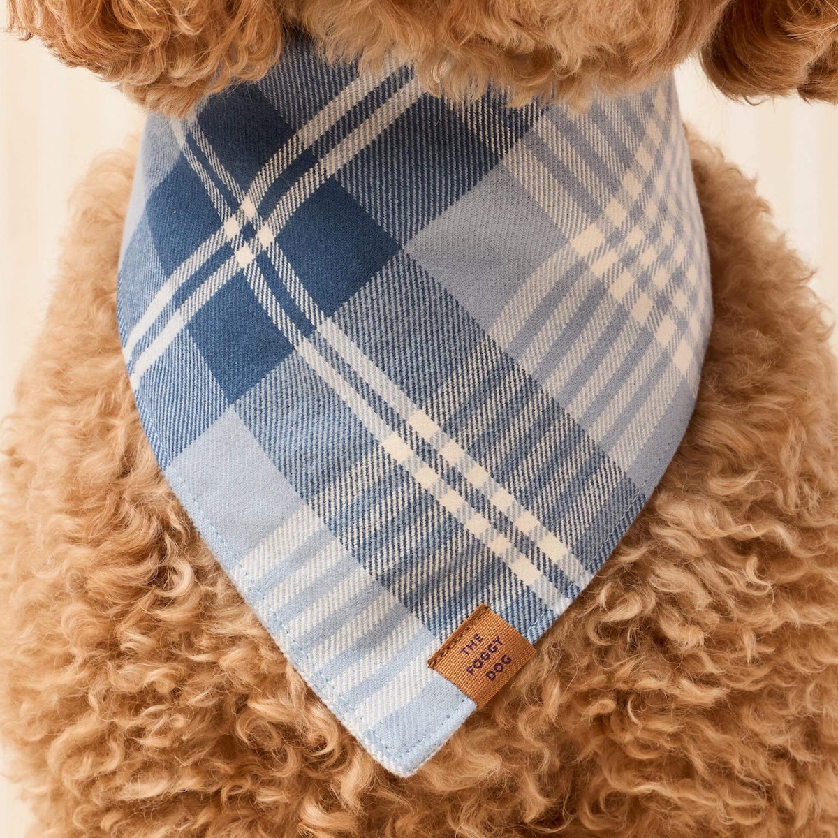 Hawthrone Flanell Bandana_TFD_3