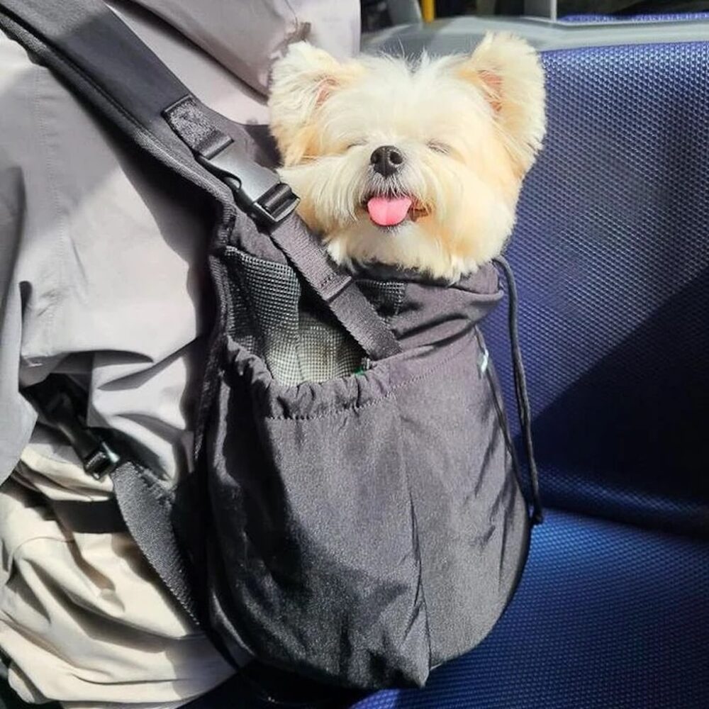 Let's Adventure Haustiertrage vorne & hinten_Pups and Bubs_2