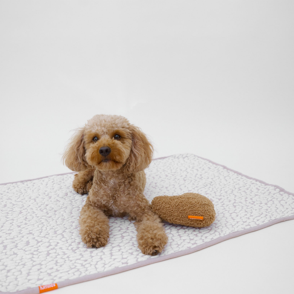 Lumiies_The Studio Blanket_Cloudy Pebble3