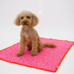 Lumiies_The Studio Blanket_Pink Lava_2