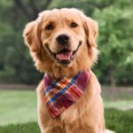 Marlow Flanell Bandana_TFD_3