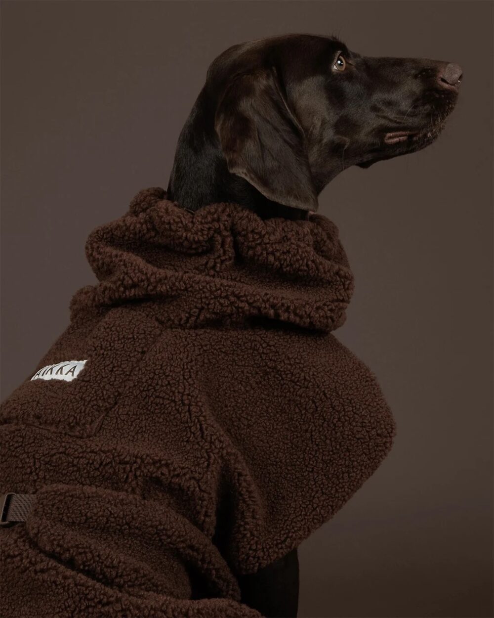 Sherpa Hundeshirt Choco – Bild 4