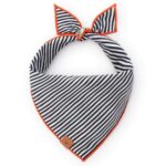 Spellbound Wendbares Bandana_TFD_1