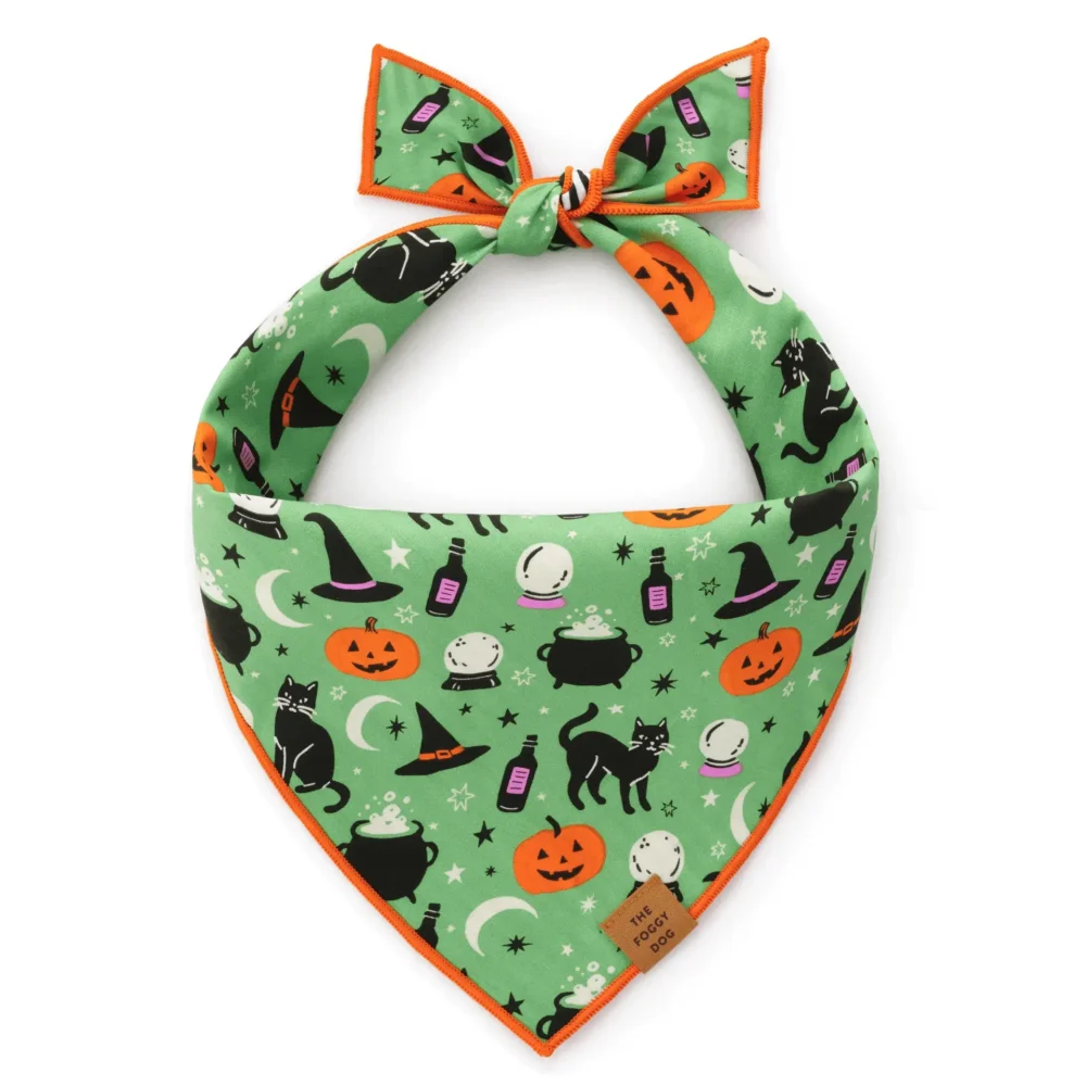 Spellbound Wendbares Bandana_TFD_2