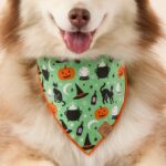 Spellbound Wendbares Bandana_TFD_4
