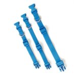 Springland Halsband Blueberry1