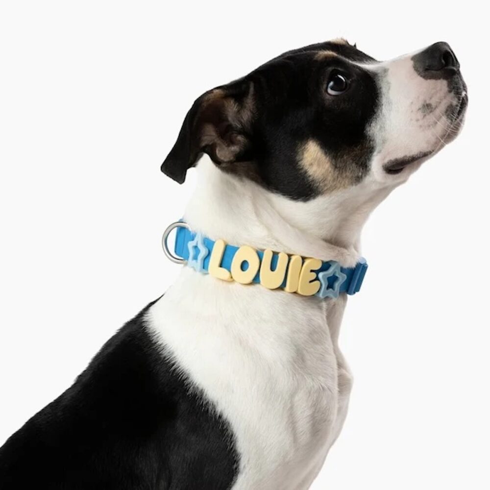 Springland Halsband Blueberry3