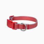 Springland Halsband Cherie3