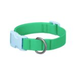 Springland Halsband Sky:Grün2