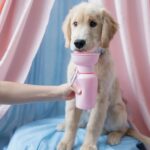 Springland Reiseflasche_Baby Pink_1
