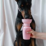 Springland Reiseflasche_Baby Pink_2