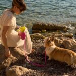 Springland Reiseflasche_Palma_2