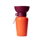 Springland Reiseflasche_Valencia_1
