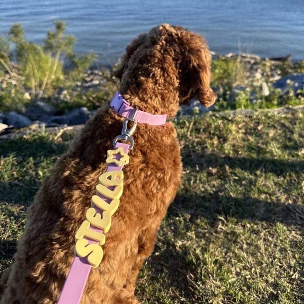 Springland_Leine_Lila_2