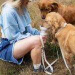 Springland_Leine_Oat_1