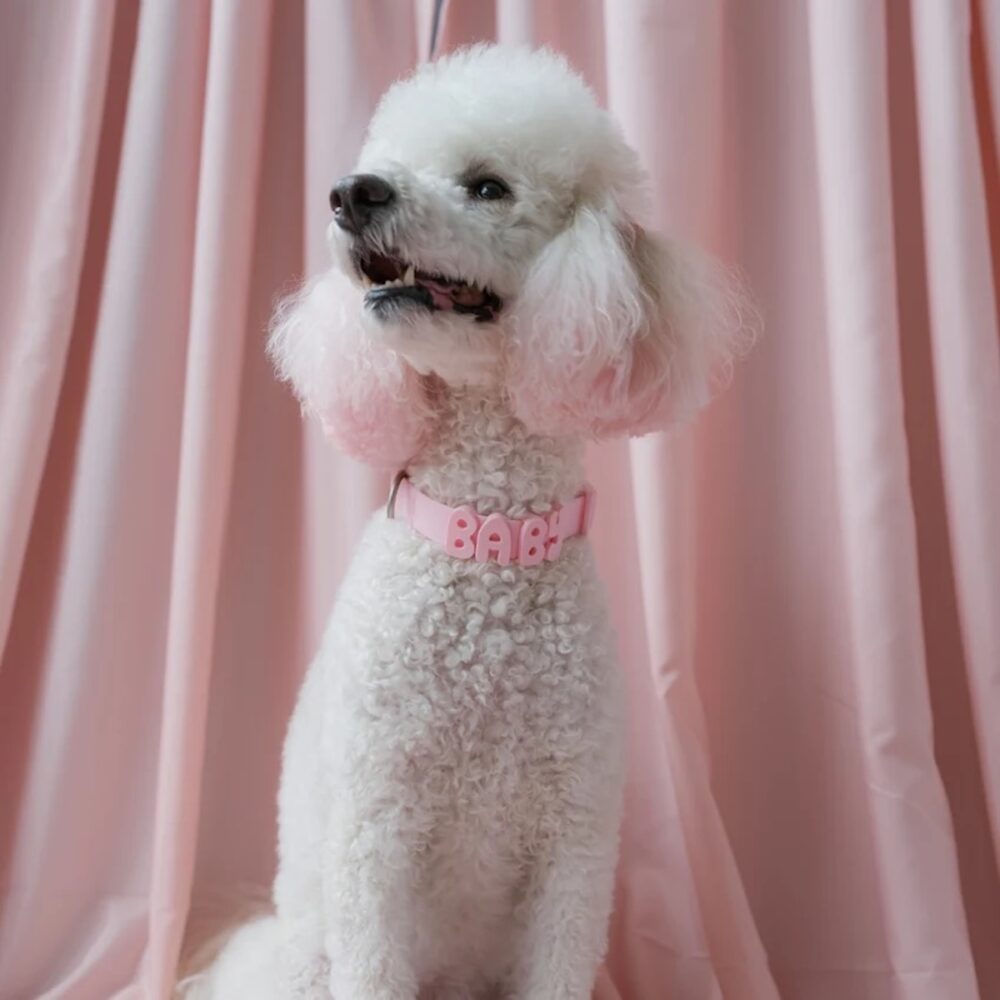 Springland_Waterproof Halsband_Baby Pink_1