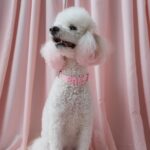 Springland_Waterproof Halsband_Baby Pink_1