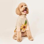 Sunflower_Pullover_TFD_5