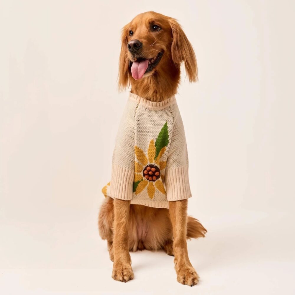 Sunflower_Pullover_TFD_6