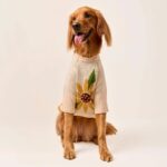 Sunflower_Pullover_TFD_6