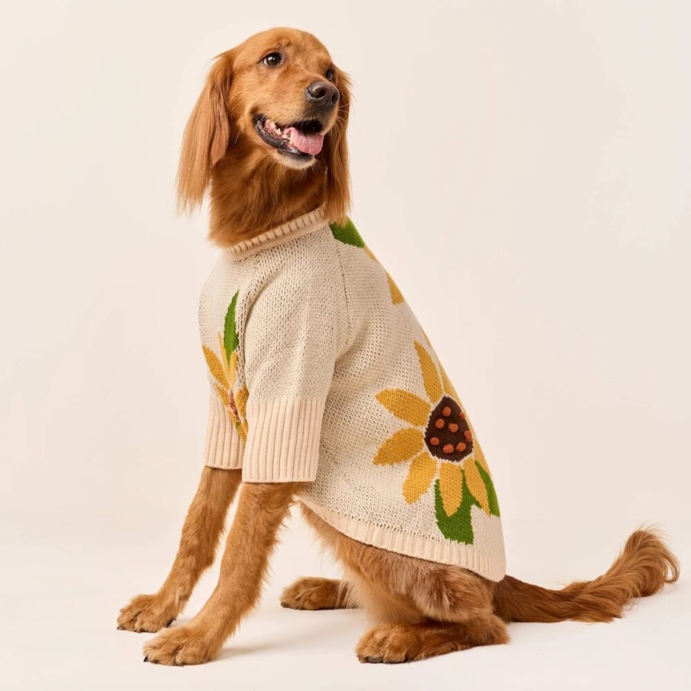 Sunflower_Pullover_TFD_7